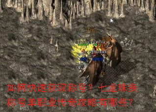如何快速获取称号?七龙珠换称号单职业传奇攻略有哪些? 如何快速获取称号?七龙珠换称号单职业传奇攻略有哪些?