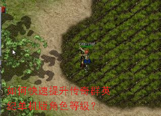 如何快速提升传奇群英纪单机版角色等级? 如何快速提升传奇群英纪单机版角色等级?