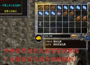传奇世界法师九级宝宝厉害吗?如何获取与培养攻略解析? 传奇世界法师九级宝宝厉害吗?如何获取与培养攻略解析?