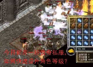今日新开一秒传奇私服,如何快速提升角色等级? 今日新开一秒传奇私服,如何快速提升角色等级?