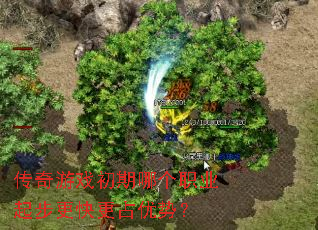 传奇游戏初期哪个职业起步更快更占优势? 传奇游戏初期哪个职业起步更快更占优势?