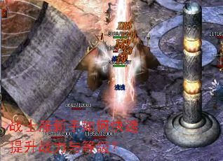战士服新手如何快速提升战力与等级? 战士服新手如何快速提升战力与等级?