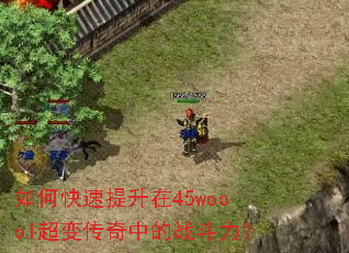 如何快速提升在45woool超变传奇中的战斗力? 如何快速提升在45woool超变传奇中的战斗力?