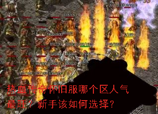 ��Ѫ���滳�ɷ��ĸ����������������ָ����ѡ��