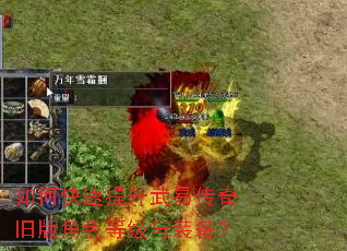 如何快速提升武易传奇旧版角色等级与装备? 如何快速提升武易传奇旧版角色等级与装备?