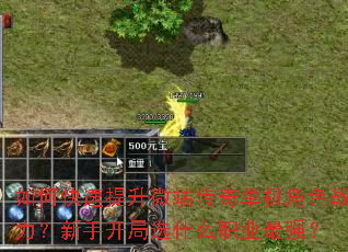 如何快速提升微端传奇单机角色战力?新手开局选什么职业最强? 如何快速提升微端传奇单机角色战力?新手开局选什么职业最强?