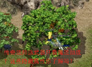 传奇法师选武器只看魔法加成?这些隐藏属性你了解吗? 传奇法师选武器只看魔法加成?这些隐藏属性你了解吗?
