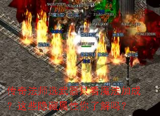 ���淨ʦѡ����ֻ��ħ���ӳɣ���Щ�����������˽���