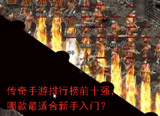 �����������а�ǰʮǿ���Ŀ����ʺ��������ţ�