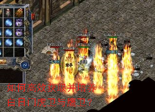 如何高效获取并培养白日门虎卫与鹰卫? 如何高效获取并培养白日门虎卫与鹰卫?