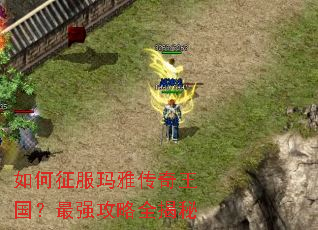����������Ŵ�����������ǿ����ȫ����