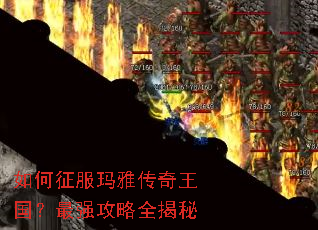 ����������Ŵ�����������ǿ����ȫ����
