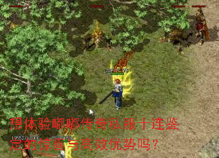 想体验嘟嘟传奇私服十连鉴定的惊喜与高效优势吗? 想体验嘟嘟传奇私服十连鉴定的惊喜与高效优势吗?
