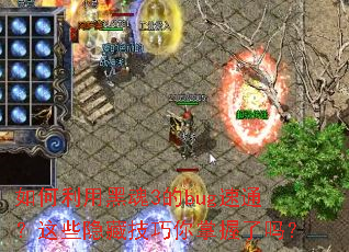 ������úڻ�3��bug��ͨ����Щ���ؼ�������������