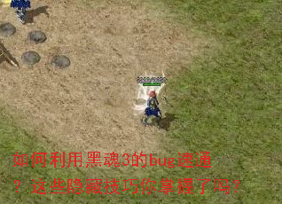 ������úڻ�3��bug��ͨ����Щ���ؼ�������������