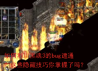 ������úڻ�3��bug��ͨ����Щ���ؼ�������������