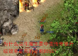 Ϊʲô˵ţħ�����б䴫��������Ч����ߵı�ˢBOSS��