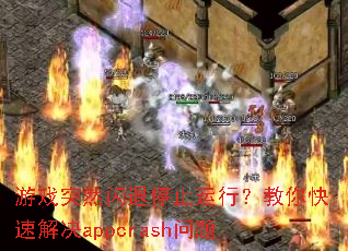 ��ϷͻȻ����ֹͣ���У�������ٽ��appcrash����