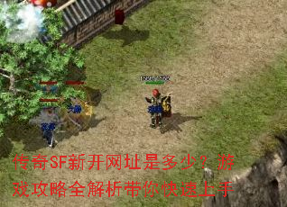 传奇SF新开网址是多少?游戏攻略全解析带你快速上手 传奇SF新开网址是多少?游戏攻略全解析带你快速上手
