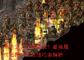 ����֮����λ�ȡ����ǿ���Դ�����ʵս����ȫ����