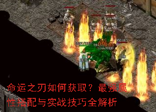 ����֮����λ�ȡ����ǿ���Դ�����ʵս����ȫ����