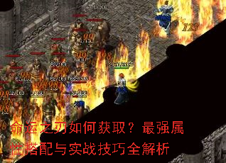 ����֮����λ�ȡ����ǿ���Դ�����ʵս����ȫ����