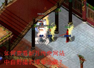 ��β鿴�¿�������վ�а�Ұ���ı������ã�