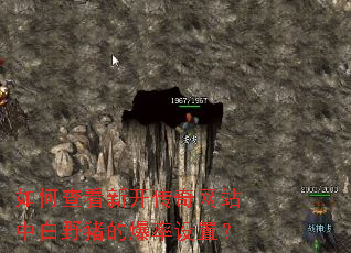 ��β鿴�¿�������վ�а�Ұ���ı������ã�
