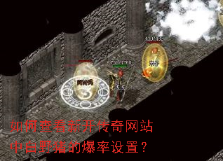 ��β鿴�¿�������վ�а�Ұ���ı������ã�