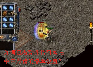 ��β鿴�¿�������վ�а�Ұ���ı������ã�