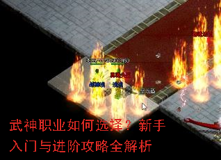 ����ְҵ���ѡ��������������׹���ȫ����