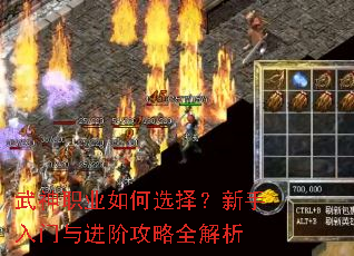 ����ְҵ���ѡ��������������׹���ȫ����