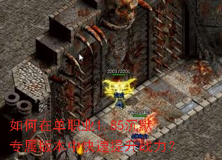 ����ڵ�ְҵ1.85��Ĭר���汾�п�������ս����
