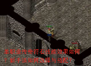 ��ְҵ�����ʯ����Ч����Σ����ָ����ѡ������䣿
