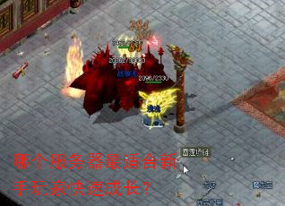 �ĸ����������ʺ�������ҿ��ٳɳ���