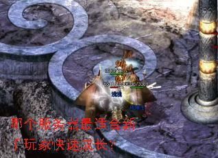 �ĸ����������ʺ�������ҿ��ٳɳ���