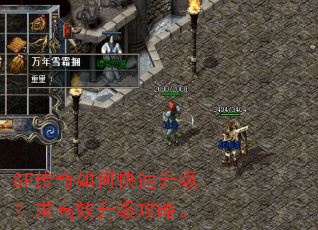 SF������ο������������Ч�������ԡ�